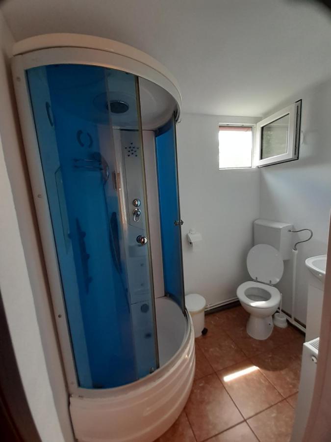 شقة Casa Iza Băile Herculane المظهر الخارجي الصورة